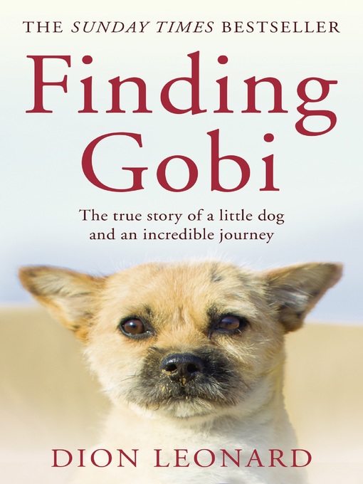 finding gobi